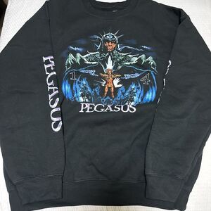 Pegasus 14 Large Black Sweater Men’s